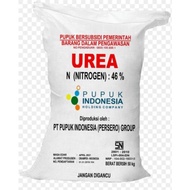 Jual Pupuk Urea 50 kg Berkualitas