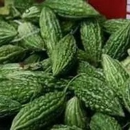 PERIA KATAK 500G Ayam Haji