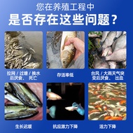 Aquarium VC Effervescent Tablets Relieve Stimulate Improve Vitality Fish VC Tablets Fish Tank Pond A