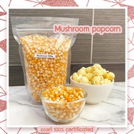 เมล็ดป๊อปคอร์นมัชรูม ข้าวโพดมัชรูม เมล็ดข้าวโพดpopcorn ข้าวโพดป๊อปคอน เมล็ดป๊อปคอร์น mushroom popcorn ป๊อปคอร์นเม็ดกลม ขนาด500g.