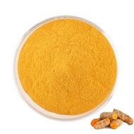 Factory Supply Turmeric Root Extract Curcumin 98% Turmeric Extract Cas 458-37-7 Curcumin Powder