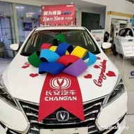 Big car bow decoration () bow for delivery ceremony 4S shop exhibition hall car layout decoration B9