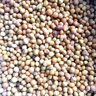 霍山石斛苗种植基质松树皮木屑营养土缓释肥 适合铁皮石斛霍山米斛金钗等 缓释肥50g