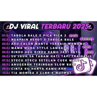 DJ BREAKBEAT VIRAL 2025 CD CASSETTE - LATEST VIRAL TIKTOK DJ TABOLA BALE CD CASSETTE