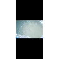 Sodium Lauryl Ether Sulphate (SLES) 70% 5 KG [N70]