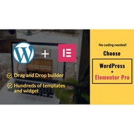 WordPress Hosting + Elementor/Blocksy Pro