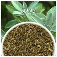 [SDW] pekanbaru/SAGE DRIED REPEACK 50GR/Dried Sage Leaves 50 grams Dried Sage Leaf/ Dry Sage/