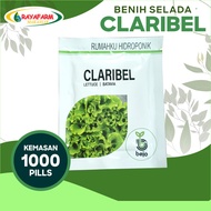 Benih Bibit Selada Batavia Claribel 1000 Pills - Bejo Seed