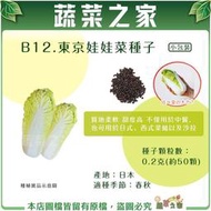 【蔬菜之家滿額免運】B12.東京娃娃白菜種子0.2克(約50顆)東京娃娃菜 迷你娃娃白菜 小型迷你白菜 蔬菜 種子