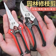Japan Japan Imported Stainless Steel Gardening Shears Pruning Shears Pruning Shears Branches Special