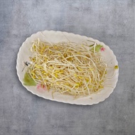 黃豆芽 (430克)
