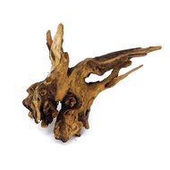 Driftwood for aquarium decoration