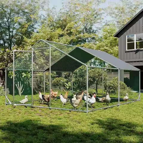 Aoxun 10 x 13ft Metal Chicken Coop With Cover Outdoor Chicken Run Enclosure Spire Roof Hen House Wal