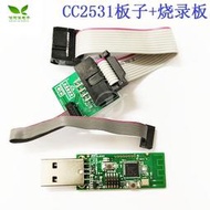 CC2531/CC2540 USB dongle 分析儀 轉串口Sniffer pack 燒錄線