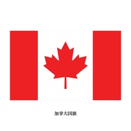 In Stock Flags of Various Countries Worldwide, Multiple Sizes, National Flags, Double-Sided Position