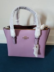 Coach Mollie Tote 25