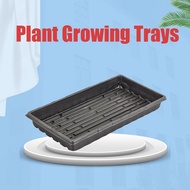 538TD 10Pcs Reusable Plant Growing Trays Plastic No Holes Propagation Tray Sprout Hydroponic Systems Durable Nursery Potted ling Trays lings