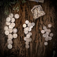 法國1867至1920百年流通銀幣54枚/鍍銀老錢包