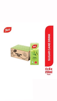 YEOS ASSORTED DRINK 250ML X 24/6/1 (CHRYSANTHEMUM TEA/LEMON TEA/LYCHEE/SUGAR CANE/WINTER MELON/SOYA)