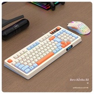 RAIKU K98/T98 ที่กําหนดเองคีย์บอร์ดเมาส์ชุดแบบมีสาย Luminous Desktop 98 คีย์ Tricolor เกมคอมพิวเตอร์