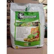 Fungisida MEGATHANE 80WP-1KG