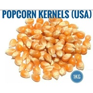 USA Popcorn Seeds / Kernels 爆米花仁 Biji Popcorn 1KG