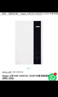 Giggas Gas Water Heater Giw-12N3