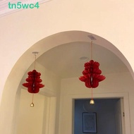 TN5WC4 2025 Snake Honeycomb Decoration, Foldable Traditional New Year Red Honeycomb, Wall Door Ornam