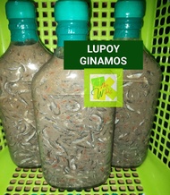 Lupoy Ginamos Bisaya