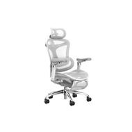 เก้าอี้สุขภาพ Sihoo Homey Ergonomic Chair (A3 / C300)