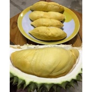 ORIGINAL DURIAN BULAT UTUH MONTONG PALU PARIGI 2KG ORIGINAL