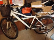 Bicycle單車24吋