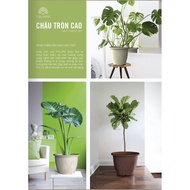 Flower Pot Small Round High Pot [TALOPA] Small, Medium, Big