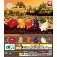 發呆野菜 Machiboke 等待的蔬菜 等待的野菜 蔬菜 野菜 發呆蔬菜 蕃茄 紅蘿蔔 薯仔 茄子 大根 白蘿蔔 蘿蔔 食物扭蛋 扭蛋 日本扭蛋 日本代購 玩具 公仔 擺設 figure 周邊 盒玩