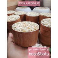 Pot Bulat  Motif Corak Kayu Coklat / Pot untuk kaktus bunga plastik / Pot mini / Pot Souvenir