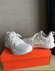 Nike Hyperdunk X Low 10 White Pure Platinum 波鞋 白色