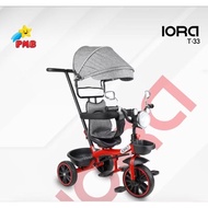TRICYCLE PMB T33 IORA