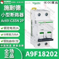 A9F18202 2P C2A Schneider Small Circuit Breaker Acti9 iC65N Branch 6kA Curve C Type