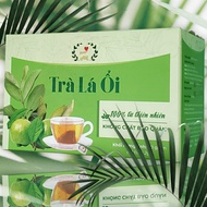 Guava Leaf Tea For Weight Loss, Fat Loss, Diabetes, Helps Lower cholesterol, Balance Blood Pressure.