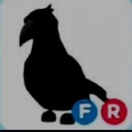 crow fr adopt me pet roblox