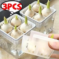 Tulip Grow Kit Clear Acrylic Square Basin Root Check Strong Stable 4Hole Basket Bulb Care Simple Ind