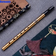 JOYEX Irish Whistle Flute, 6 Hole D Key Ireland Flute, Musical Accessories Professional Musical Inst