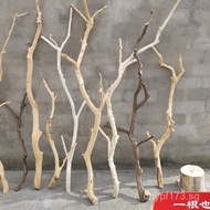Tree Trunk Shape Dry Branches Deadwood Bird Rack Dry Tree Branches Twig Natural Ceiling Tree Branch 