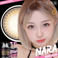 มีค่าสายตา 💋 Nara Gray Brown  💋 บิ๊กอาย สุดปัง คอนแทคเลนส์ รายเดือน