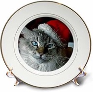 3dRose cp_4576_1 Christmas Cat - Porcelain Plate, 8"