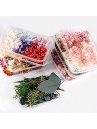 1包壓花材料套裝：乾花、永生花相框壓花材料套裝,diy花材、香薰蠟燭,乾花