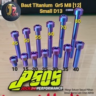 Titanium Bolt M8 (12) Small OD13 Length 10-110mm
