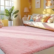 6x9 Pink Fluffy Bedroom Rugs: Pink Furry Area Rugs for Bedroom- Ultra Soft Fluffy Rug- High Pile Plu