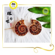 天然斑彩螺吊坠 Ammonite Pendant Loket Kristal Muse Crystal