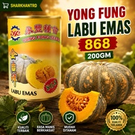🔥HOT🔥BIJI BENIH LABU EMAS 868 YONG FUNG SEEDS 200 GRAM 1900 BUTIR / Labu Manis / Labu Madu /Pumpkin 